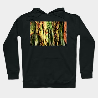 Tobacco Leaves Hoodie